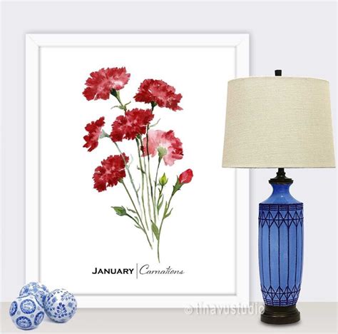 January Birth Month Flower, Ohio State Flowers, Scarlet Carnation ...