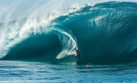 Image result for Wave Button Animation. CSS