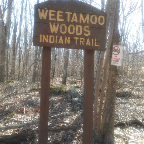 WEETAMOO WOODS & PARDON GRAY PRESERVE (2025) All You Need to Know ...