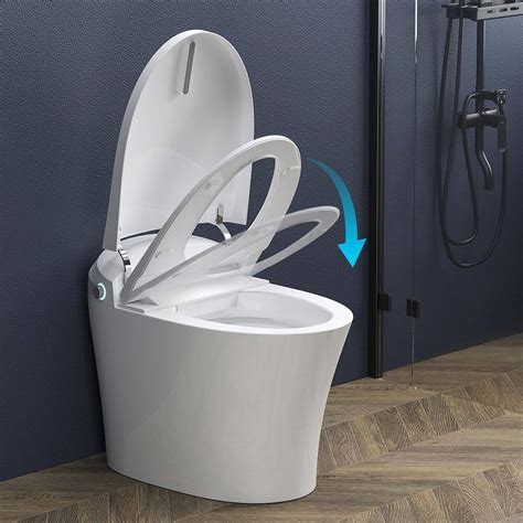 1-piece 1/1.27 GPF Dual Flush Elongated Toilet in India | Ubuy