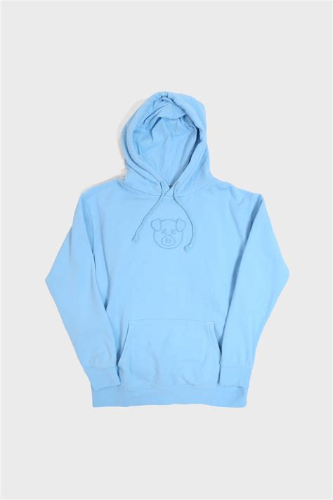 Light Blue Hooded Sweatshirt | Home Design Ideas