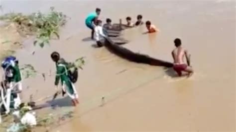 MP: Boat with 20 children capsizes in Anuppur, all rescued