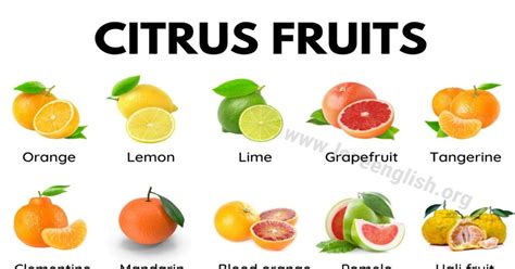 Which Fruits Are Citrus Fruit at Tiffany Wilson blog