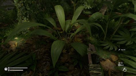 Must-know Guide And Survival Tips In Green Hell Game 2021