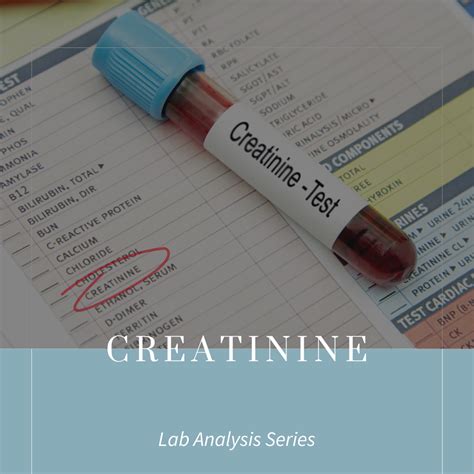 Creatinine: What Highs and Lows Mean in Pregnancy - SARAH THOMPSON ...