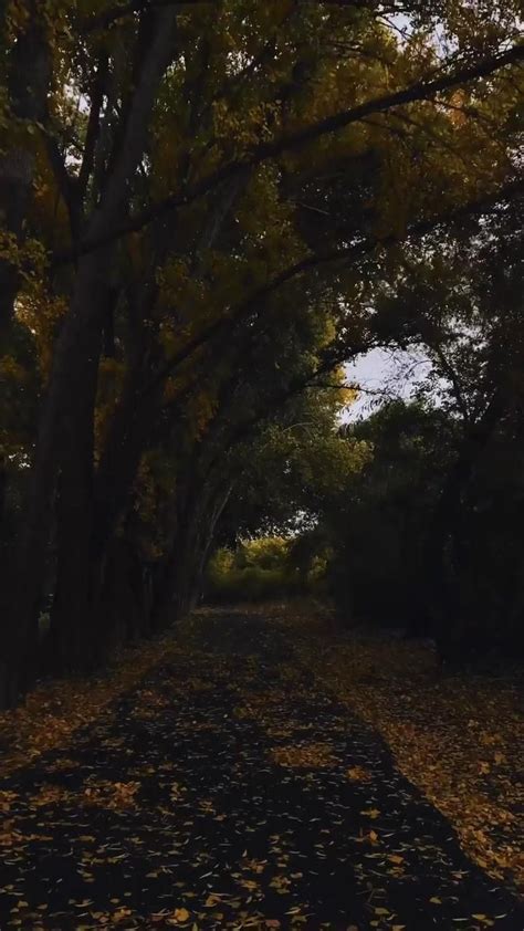 Best Practices on Vimeo Aesthetic Background Aesthetic