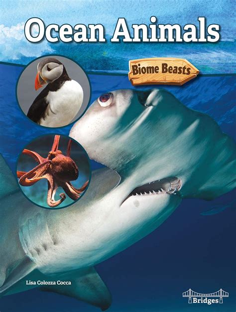Ocean Animals (Biome Beasts) : Cocca, Lisa Colozza: Amazon.in: Books