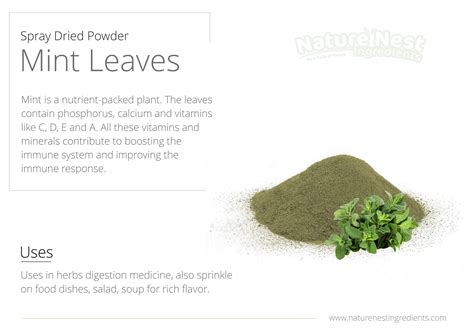 Spray Dried Vegetable Powders | Nature Nest Ingredients