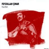 Fazilet: Feyzullah Cinar: Amazon.in: Music}