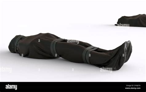 Image result for Python Wrapped around Body