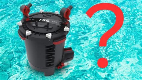 Fluval Fx6 Saltwater Setup | 7petals.in