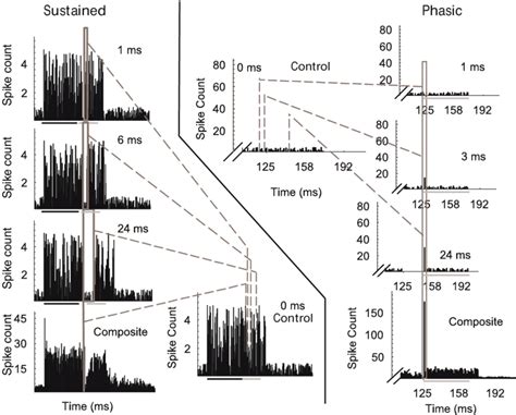 Post-Stimulus Time Histogram 的图像结果