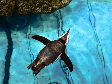 Franklin/Foxboro Line on the Commuter Rail