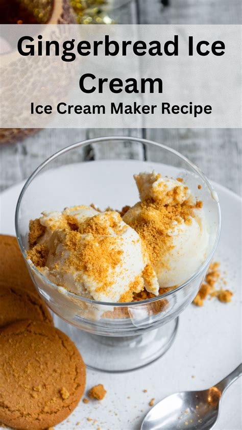 Gingerbread Ice Cream (Ice Cream Maker Recipe) - Searching for Spice