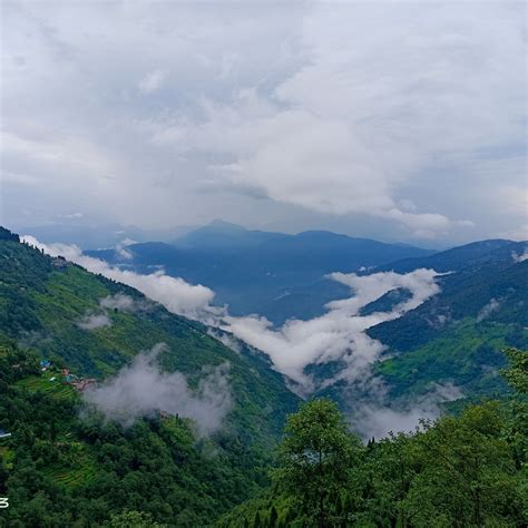 GUMBADARA HOMESTAY & GLAMPING (Peshok Tea Garden) - Guesthouse Reviews ...