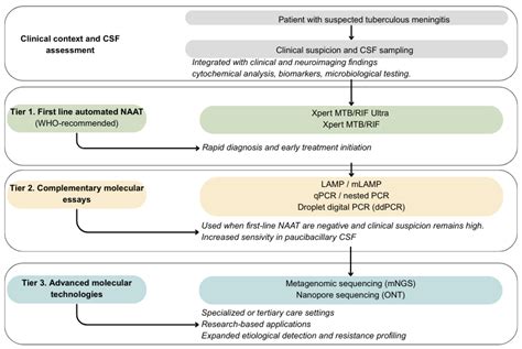 Diagnosis of Tuberculous Meningitis: Integrating Clinical Assessment ...