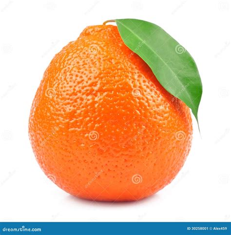 Sweet Oranges Fruits( Minneola) Stock Image - Image of citrus, healthy ...