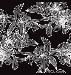 Floral seamless pattern Royalty Free Vector Image