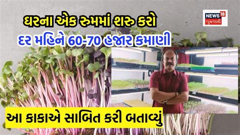 10x10ના રુમમાં દર મહિને 60-70 હજારની કમાણી! એકદમ નવી વસ્તુની ખેતી, 7 ...