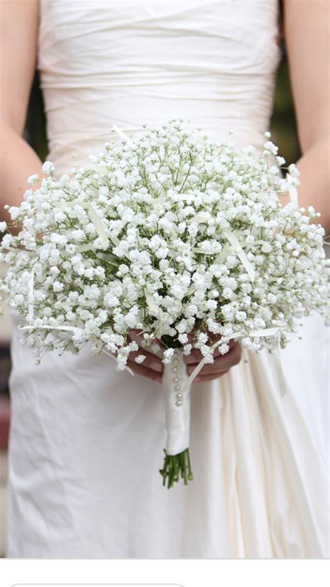 Baby Breath Flower Meaning | Best Flower Site