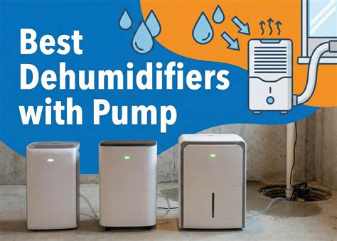 The 10 Best Dehumidifiers for Basements of 2026