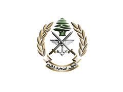 Lebanese army says Israeli attacks violate ceasefire, urges caution in ...