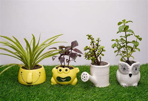 Type 18 Live Plants Ceramic Pots - Set of 4 — Plant N Pots