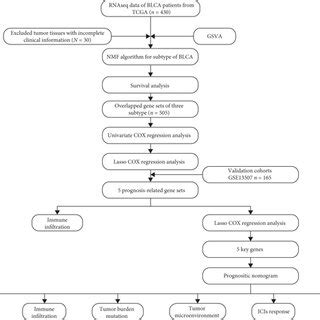 Flowchart TCGA 的图像结果