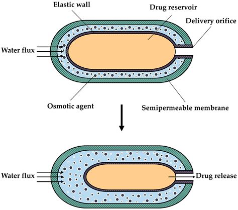 Novel Applications in Controlled Drug Delivery Systems by Integrating ...