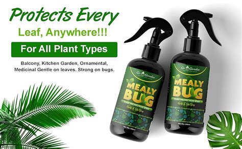 Mealy Bug Plant Protection Spray – 200ml | 100% Natural Neem & Essenti