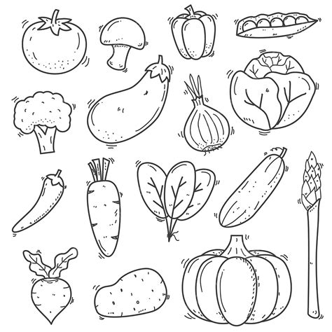 Set Of Vegetables Doodle Vector Illustration In Sketch Hand Drawn Style Such, Rat Drawing ...