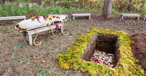Green Funerals in Houston: Exploring Eco-Friendly Options