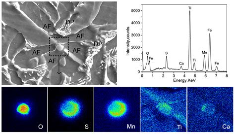Effect of Austenitization Conditions on the Transformation Behavior of ...