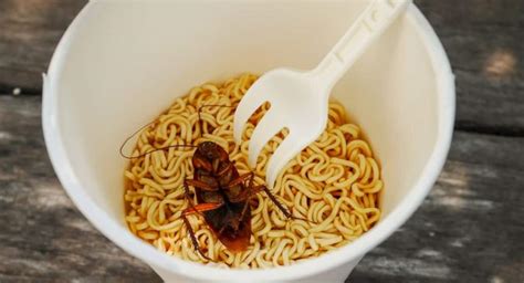 Maggots, human hair 5 other gross things that may be present in your ...