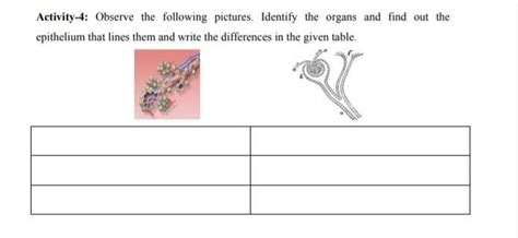 Observe the following pictures identify the organs and find out the ...