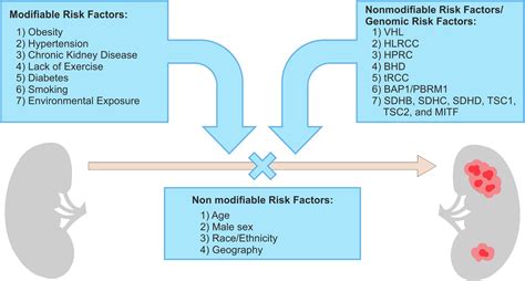 Understanding The Primary Risk Factors For Renal Cell Carcinoma