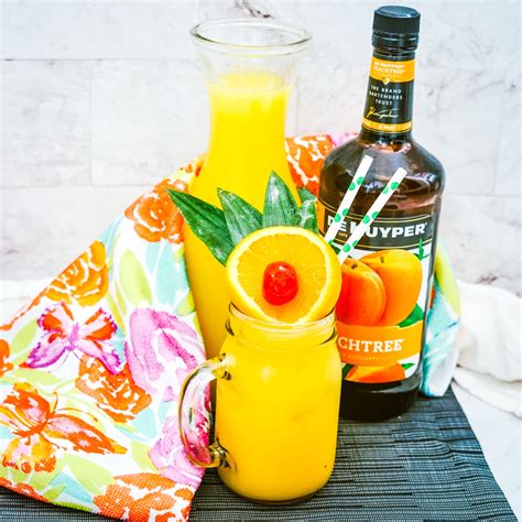 Fuzzy Navel Cocktail Recipe | Fuzzy Navel Recipe