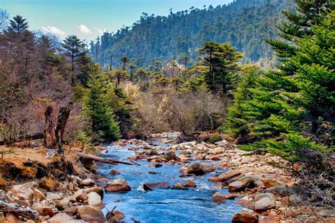 Jigme Singye Wangchuck National Park- A Complete Guide