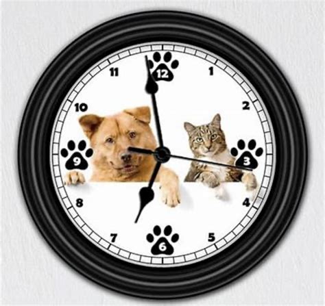 Timonium Animal Hospital