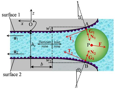 Particle Entrapment in Line Elastohydrodynamic Contacts and the ...