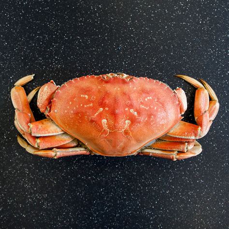 Whole Dungeness Crab | Caudle's Catch Seafood