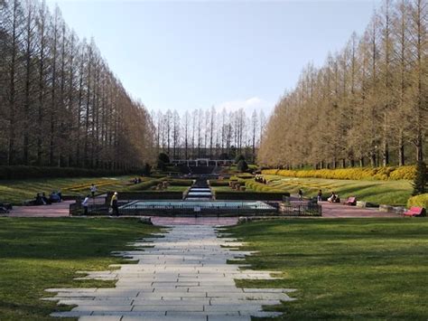 Sagamihara Prefectural Park - 2020 What to Know Before You Go (with ...
