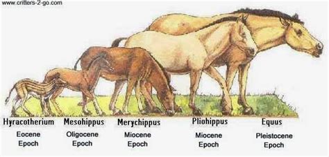Image result for 7 Types of Operators in Python