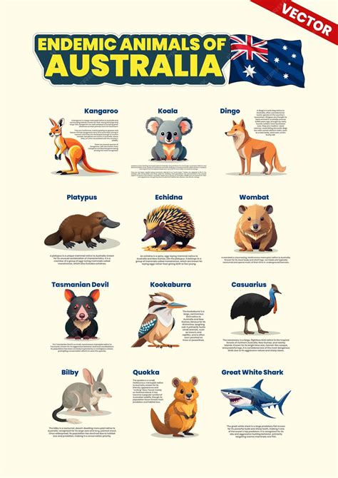 Endemic Animals To Australia