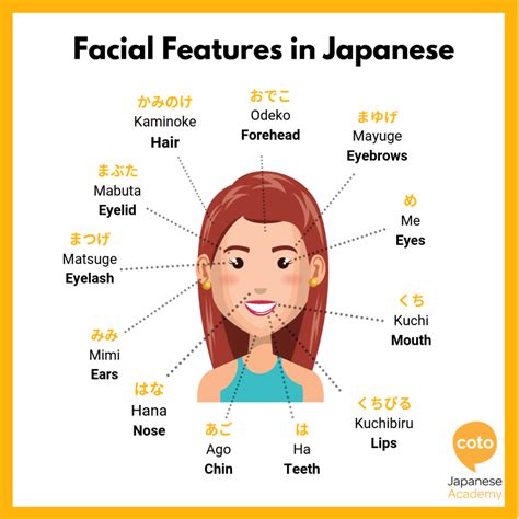 Facial Features in Japanese | How to Say Prats of Face in Japanese ...