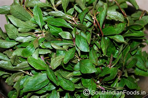 Ponnanganni keerai poriyal | dwarf copperleaf - Stepwise Pictures