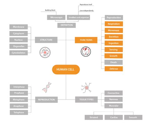 Human Energy 的图像结果