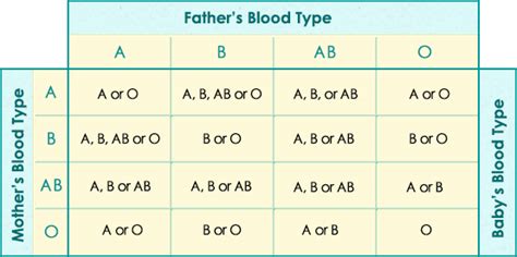 Baby Blood Type | Baby Blood Group Predictor