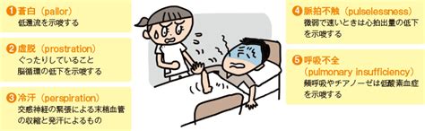 「ショックの5P」。5つそろわないと、ショックじゃないの？ | 看護roo![カンゴルー]