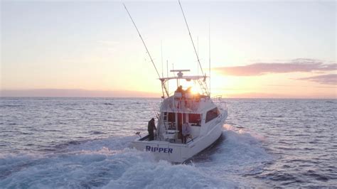 35ft Cabo Flybridge "Ripper"